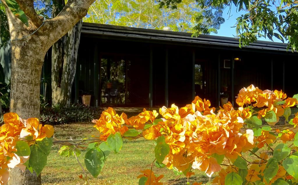 Lagoon Pocket Bed & Breakfast 外观 照片
